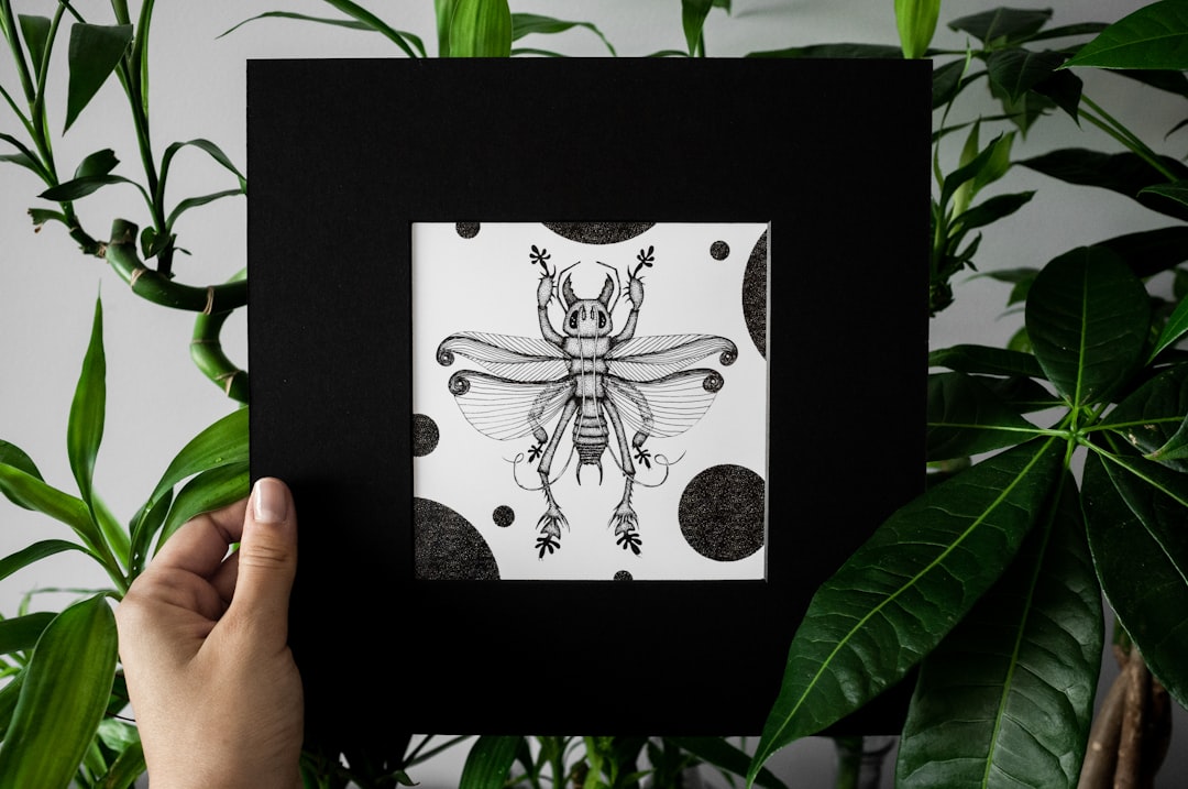 Print on Demand For Etsy – All You Need to Know